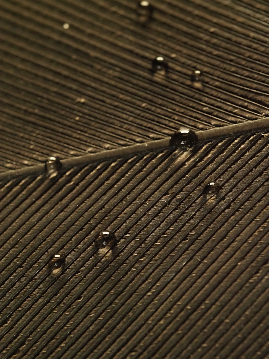 Prison Visitation & Security