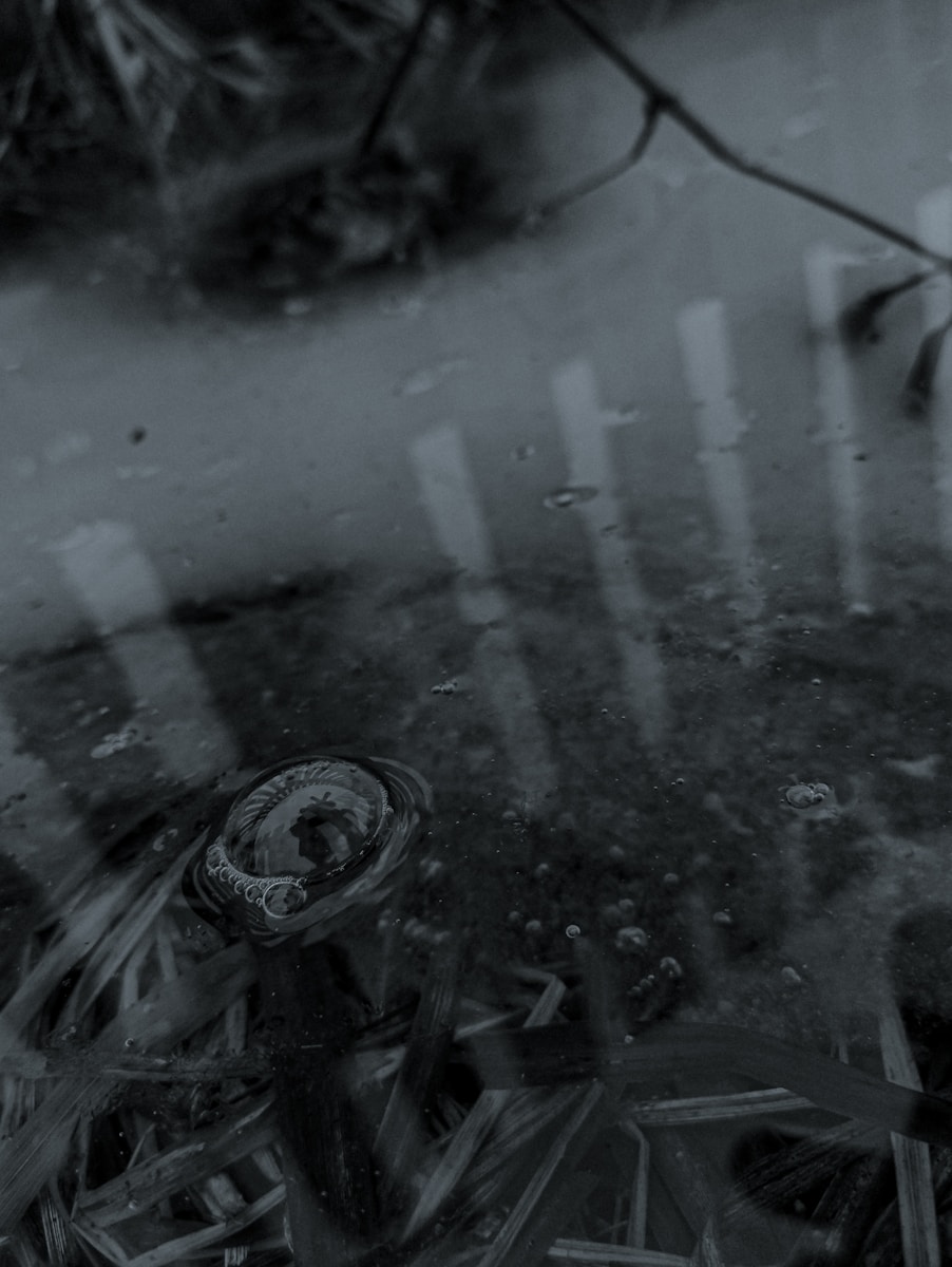 Prisoner Release Laws